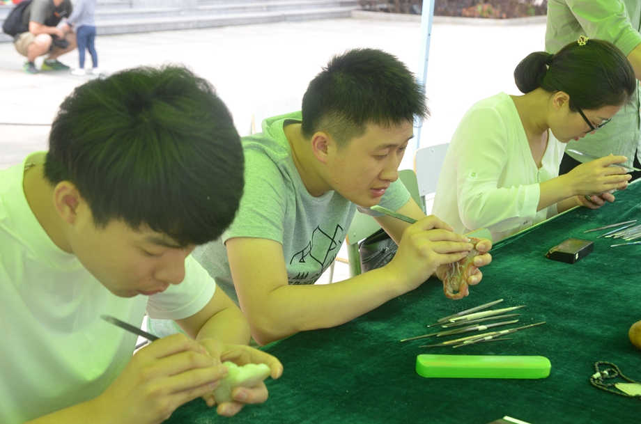 5·13 “技能盛宴”隆重开启(图35)