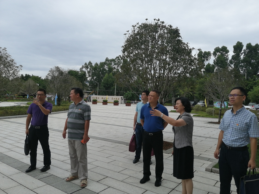 市人社局领导来院检查党建工作(图3)