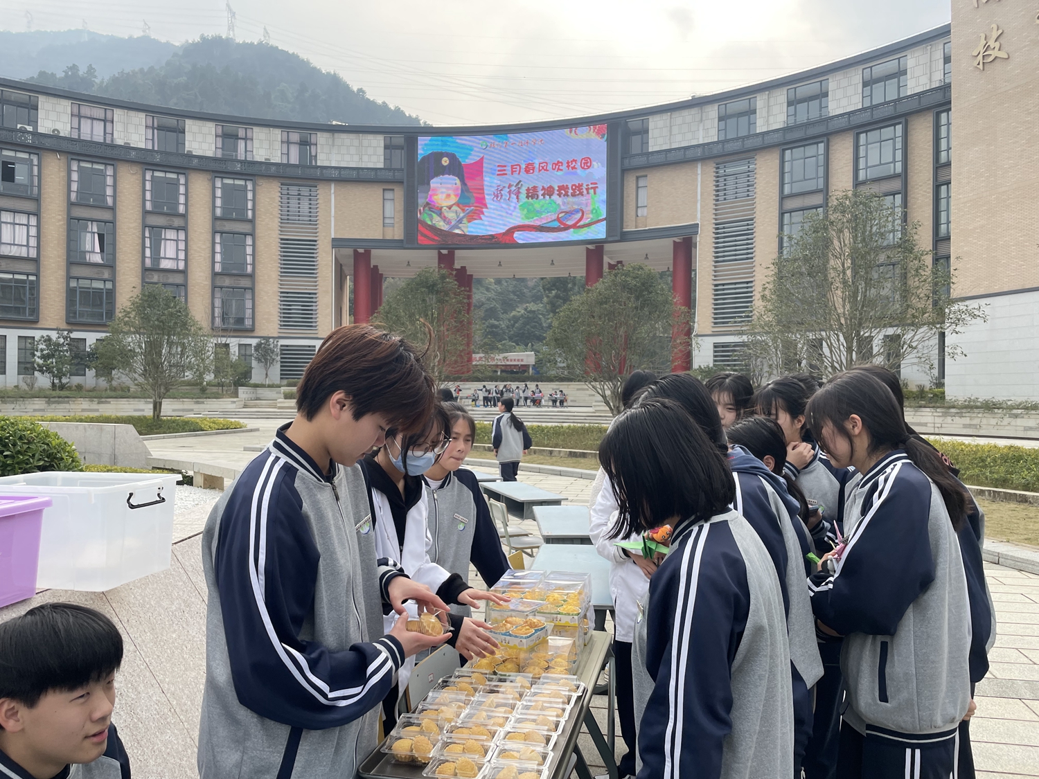 三月春风吹校园，雷锋精神我践行(图4)