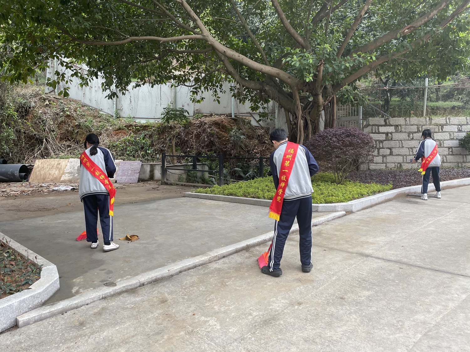 三月春风吹校园，雷锋精神我践行(图5)
