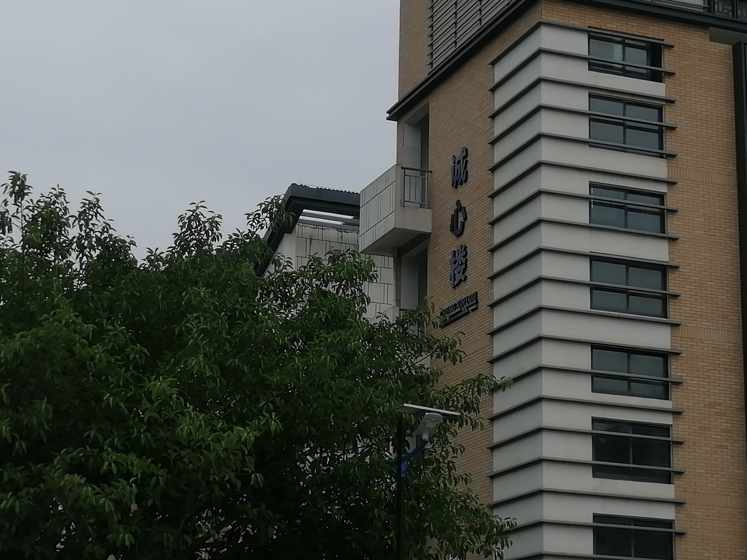 【立德树人】技工院校“心”文化建设探索与实践(图4)