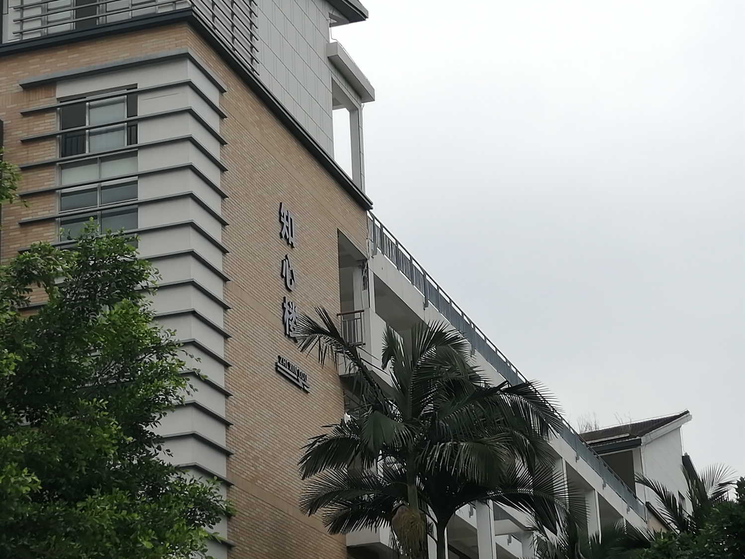 【立德树人】技工院校“心”文化建设探索与实践(图6)